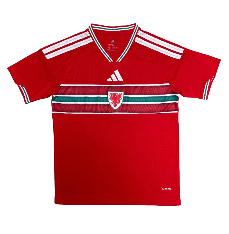 [25/26] Camisa - Seleção País de Gales