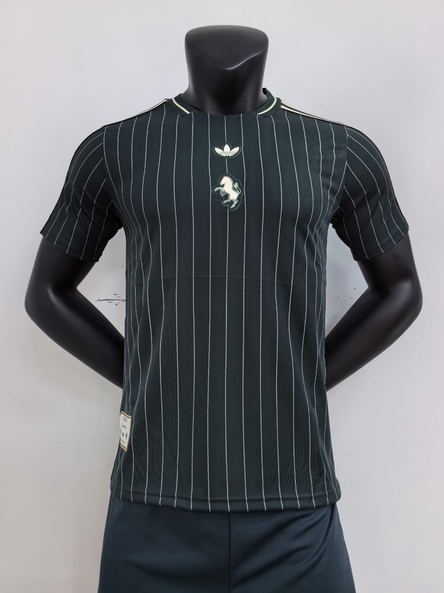 [25/26] Camiseta Icons Juventus